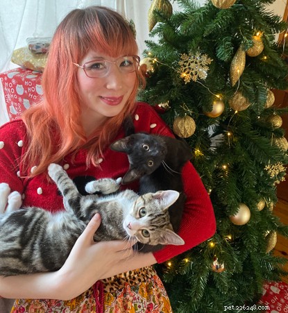 Kim‑Joy & Tom Anderson’s Cat‑Friendly Baking Recipes for Pawsome Afternoon Tea