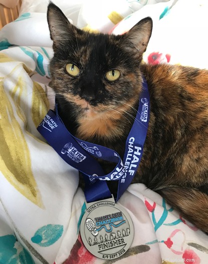 Help Dan Merton Win £1,000 for Cats Protection – Vote for Our Champion Volunteer