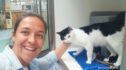 How We Calm Anxious Cats and Help Them Thrive in Cats Protection Care