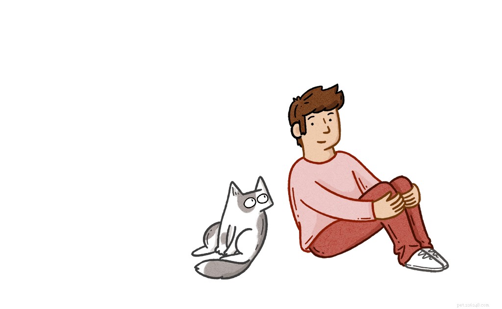 Common Cat Misconceptions: 7 Behaviors Explained