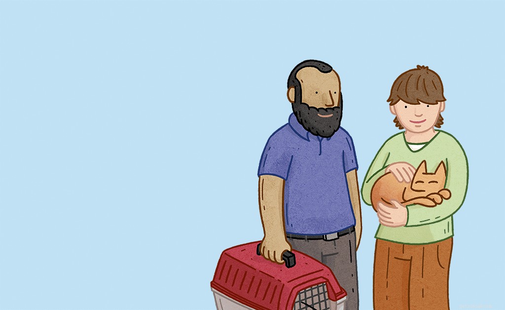 Common Cat Misconceptions: 7 Behaviors Explained