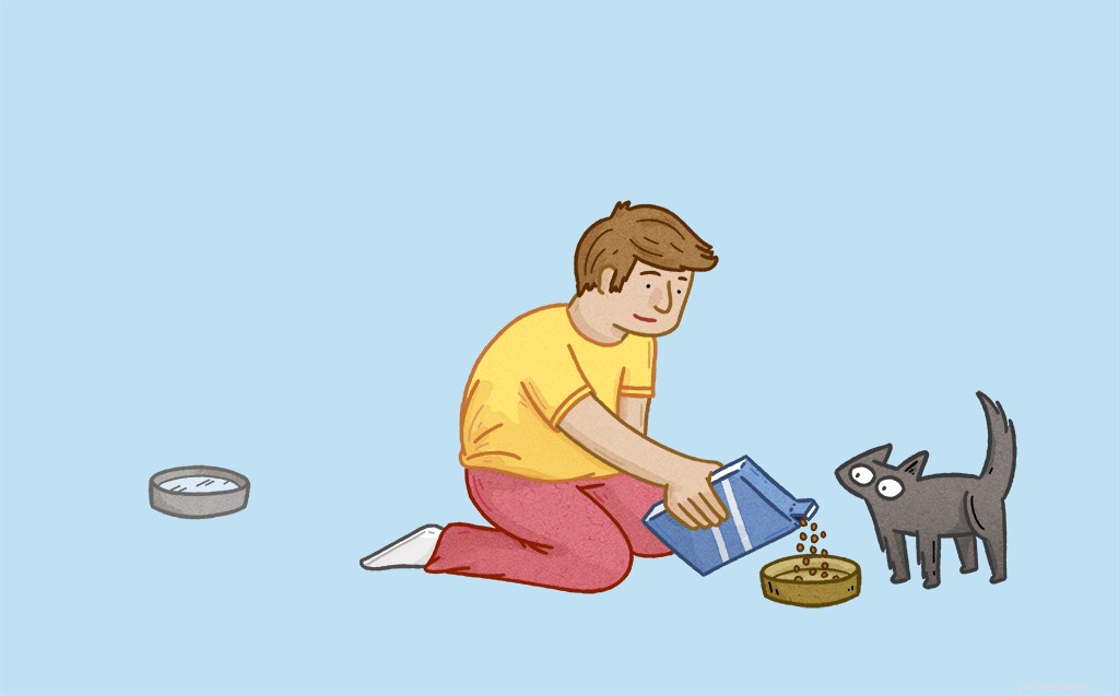 Common Cat Misconceptions: 7 Behaviors Explained