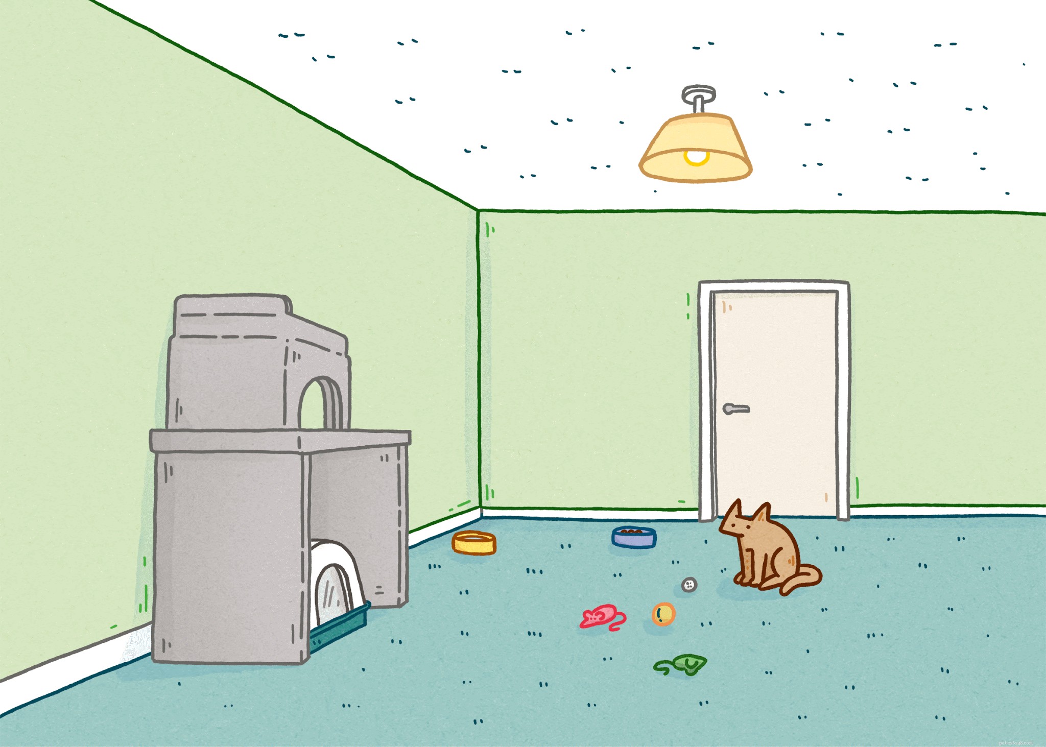 Common Cat Misconceptions: 7 Behaviors Explained