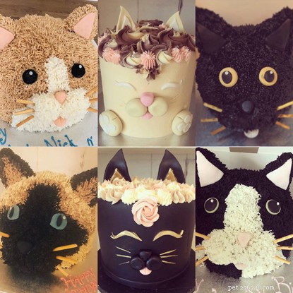 Pawsome Afternoon Tea: How Cat Lovers Host Fundraising Events for Kittens