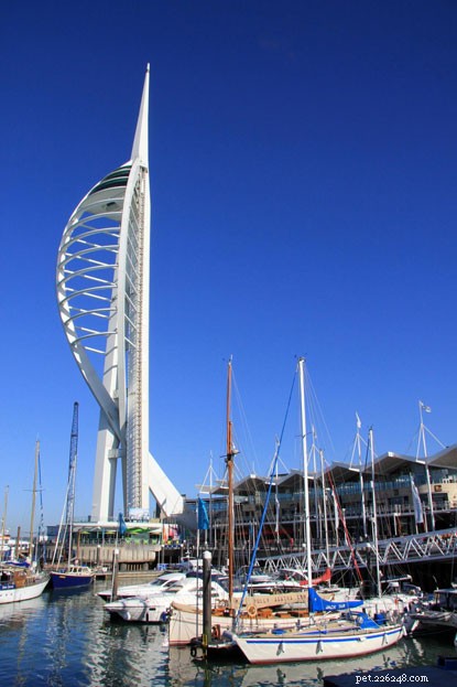 Climbing for Cats: Charity Abseil Raises Funds for Isle of Wight Adoption Centre