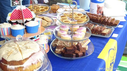 Heartwarming Stories & Sweet Creations from Pawsome Afternoon Tea Hosts