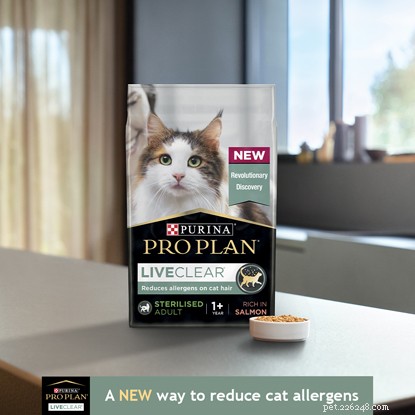 Managing Cat Allergies: How to Own a Cat Even If You’re Allergic