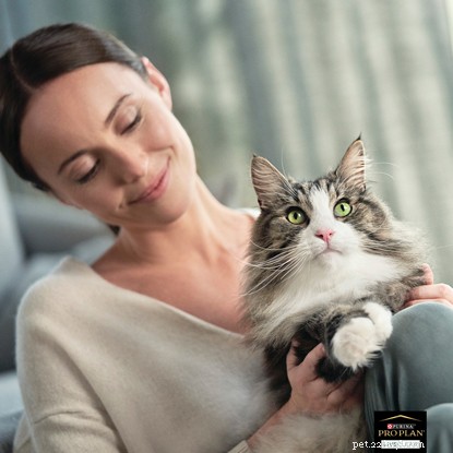 Managing Cat Allergies: How to Own a Cat Even If You’re Allergic