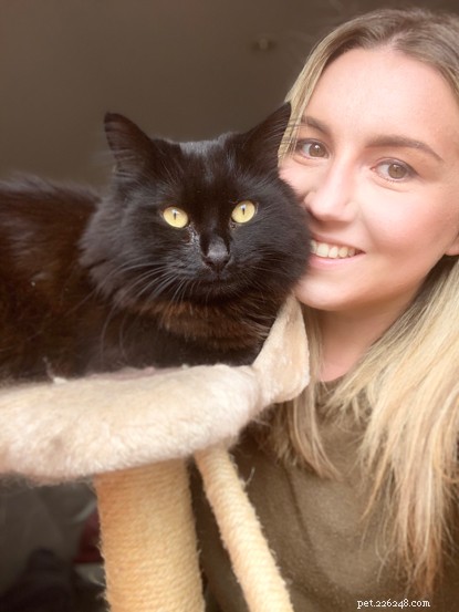 Cats Offer Comfort and Joy to Those Battling Lockdown Loneliness