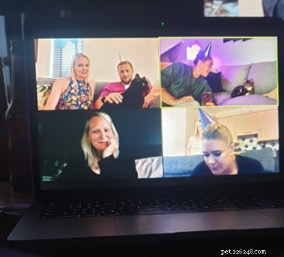 Keeping Jet Safe: A Hands‑Free Adoption Success During COVID‑19