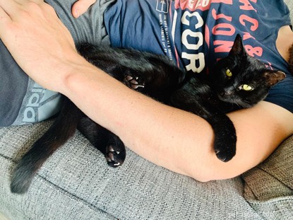 Keeping Jet Safe: A Hands‑Free Adoption Success During COVID‑19
