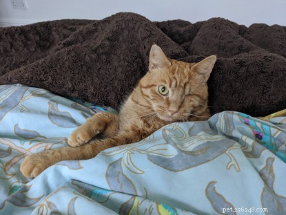 Biff Wins Brighton & District Photo Contest: A Stunning Rescue Story