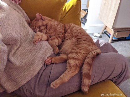 Biff Wins Brighton & District Photo Contest: A Stunning Rescue Story