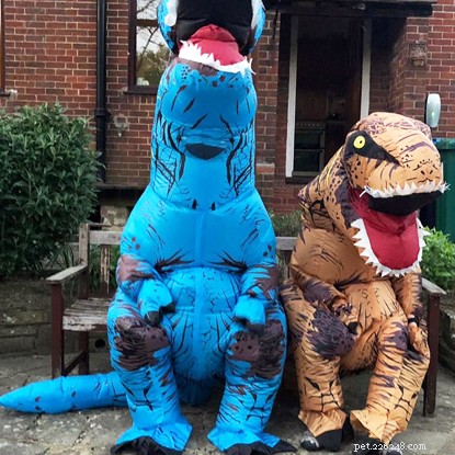 Innovative Fundraising: How Our Supporters Adapted Challenges Amid COVID-19 Lockdown