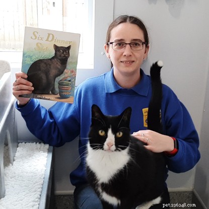 Cats Protection s Virtual Storytime Wins Hearts During Lockdown