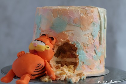 Cats Protection Announces Winner of Pawsome Afternoon Tea Baking Competition