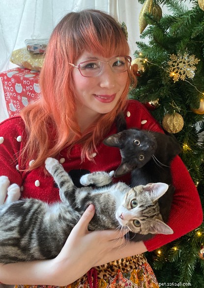 Cats Protection Announces Winner of Pawsome Afternoon Tea Baking Competition