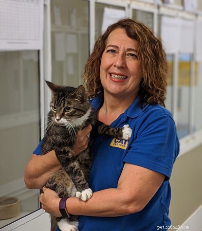 Why Working at Cats Protection Is a Fulfilling Career