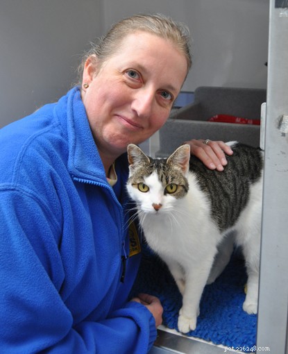 Why Working at Cats Protection Is a Fulfilling Career
