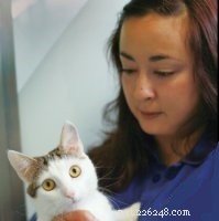 Why Working at Cats Protection Is a Fulfilling Career