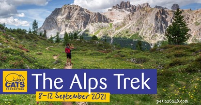Veterinary Couple Embarks on 5‑Day Alpine Trek to Fund Homeless Cats and Kittens