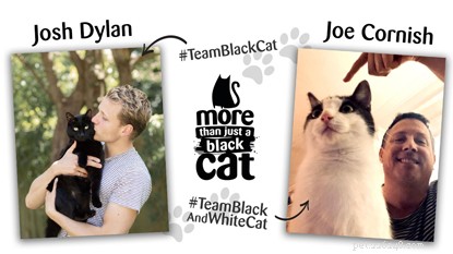 Celebrating 10 Years of Cats Protection’s National Black Cat Day: From Launch to Nationwide Campaign