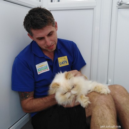 Cats Protection Worker Paul Hannant to Walk 200+ Miles Across Britain’s Highest Peaks for Charity