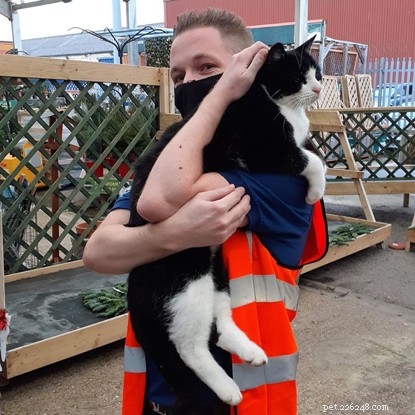 Lost Cat Boo Reunited with Owners After Gosport Range Store Microchip Scan