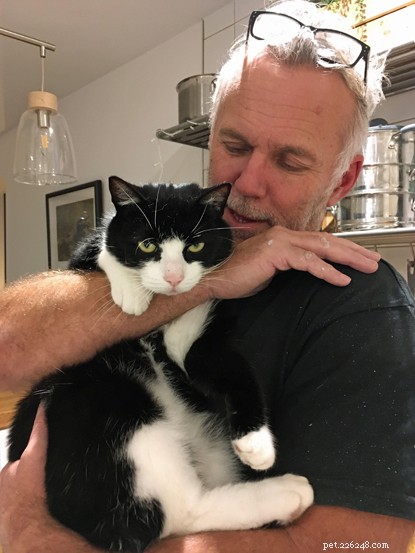 Lost Cat Boo Reunited with Owners After Gosport Range Store Microchip Scan
