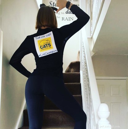 Supporters Scale New Heights—From Driveway Marathons to Home Staircases—to Fundraise for Cats