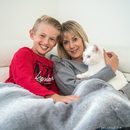 Inside Aardman Animations  Creation of Cats Protection’s 2020 Christmas Ad