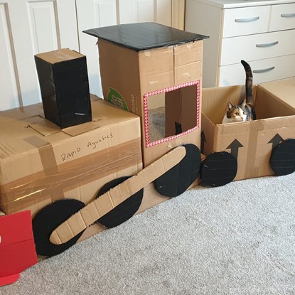 The Ultimate Cat Photo Collection That Brightened Our January