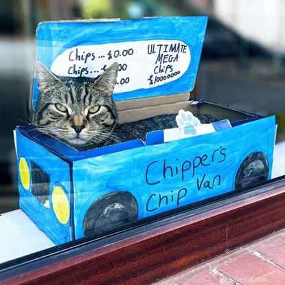 The Ultimate Cat Photo Collection That Brightened Our January