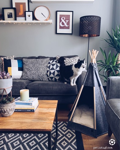 Expert Interior Design Tips to Craft a Stylish, Cat‑Friendly Home