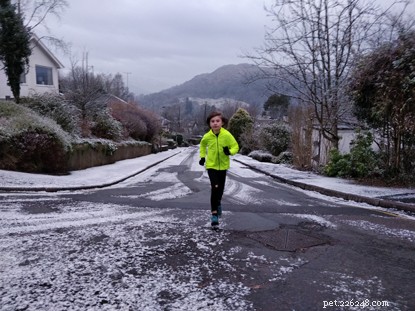 Eight-Year-Old Cat Lover Exceeds Fundraising Goal with Daily January Run