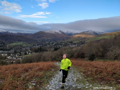 Eight-Year-Old Cat Lover Exceeds Fundraising Goal with Daily January Run