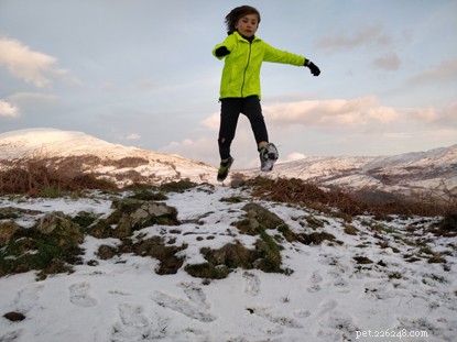 Eight-Year-Old Cat Lover Exceeds Fundraising Goal with Daily January Run