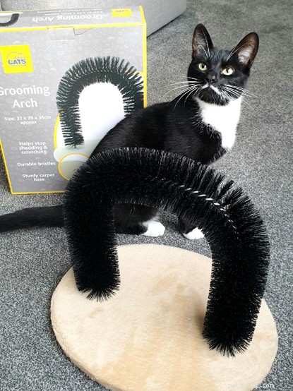 Explore Cats Protection’s Premier Cat Care Collection – Toys, Beds, Scratch Posts & More