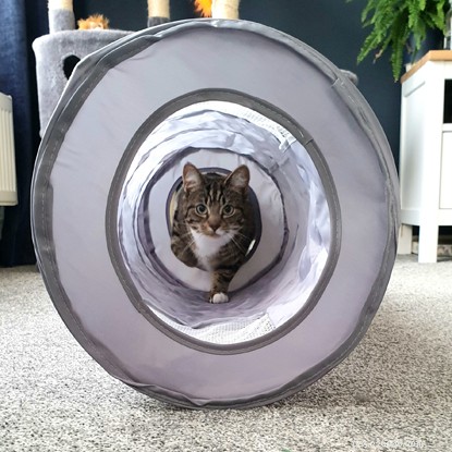 Explore Cats Protection’s Premier Cat Care Collection – Toys, Beds, Scratch Posts & More