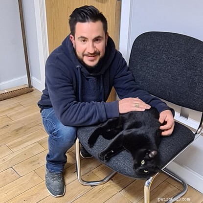 Mandatory Cat Microchipping: A Proven Way to Reunite Lost Cats with Their Owners