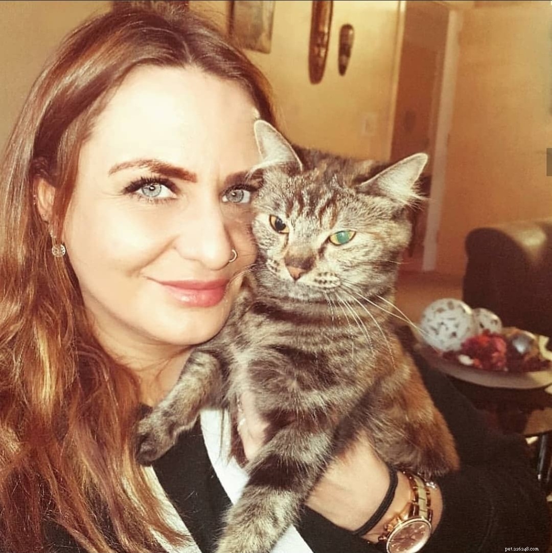 Survey Finds 60% of UK Adults Don’t Know Lilies Are Poisonous to Cats