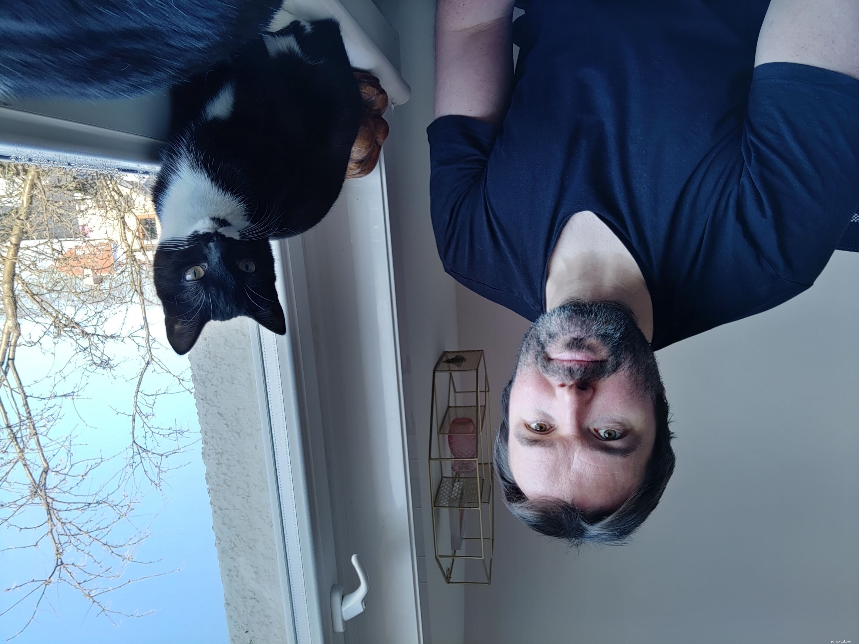 Kenneth Adopts Kitten After Volunteering with People’s Postcode Lottery at Glasgow Adoption Centre