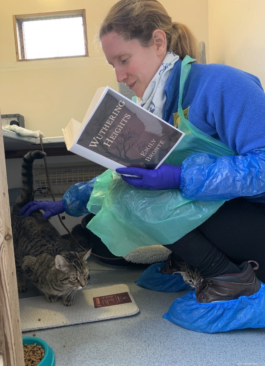 Cats Protection’s Downham Market Centre Names New Female Cats After Literary Icons for International Women’s Day