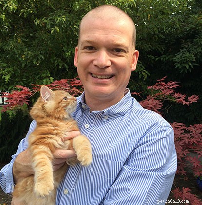 Cats Protection Employees Share How They and Their Pets Adapted During COVID-19 for National Careers Week