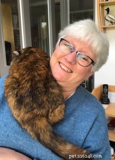 Cats Protection Employees Share How They and Their Pets Adapted During COVID-19 for National Careers Week