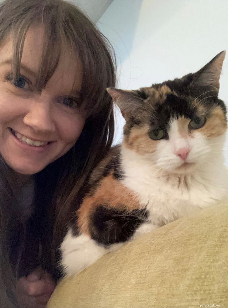 Cats Protection Employees Share How They and Their Pets Adapted During COVID-19 for National Careers Week
