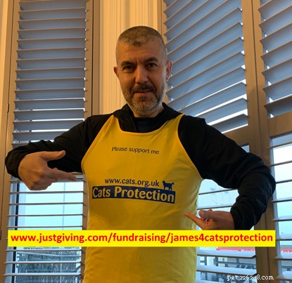Worthing s James Baydar Takes on Marathon Series to Fund Cats Protection in Memory of His Cat