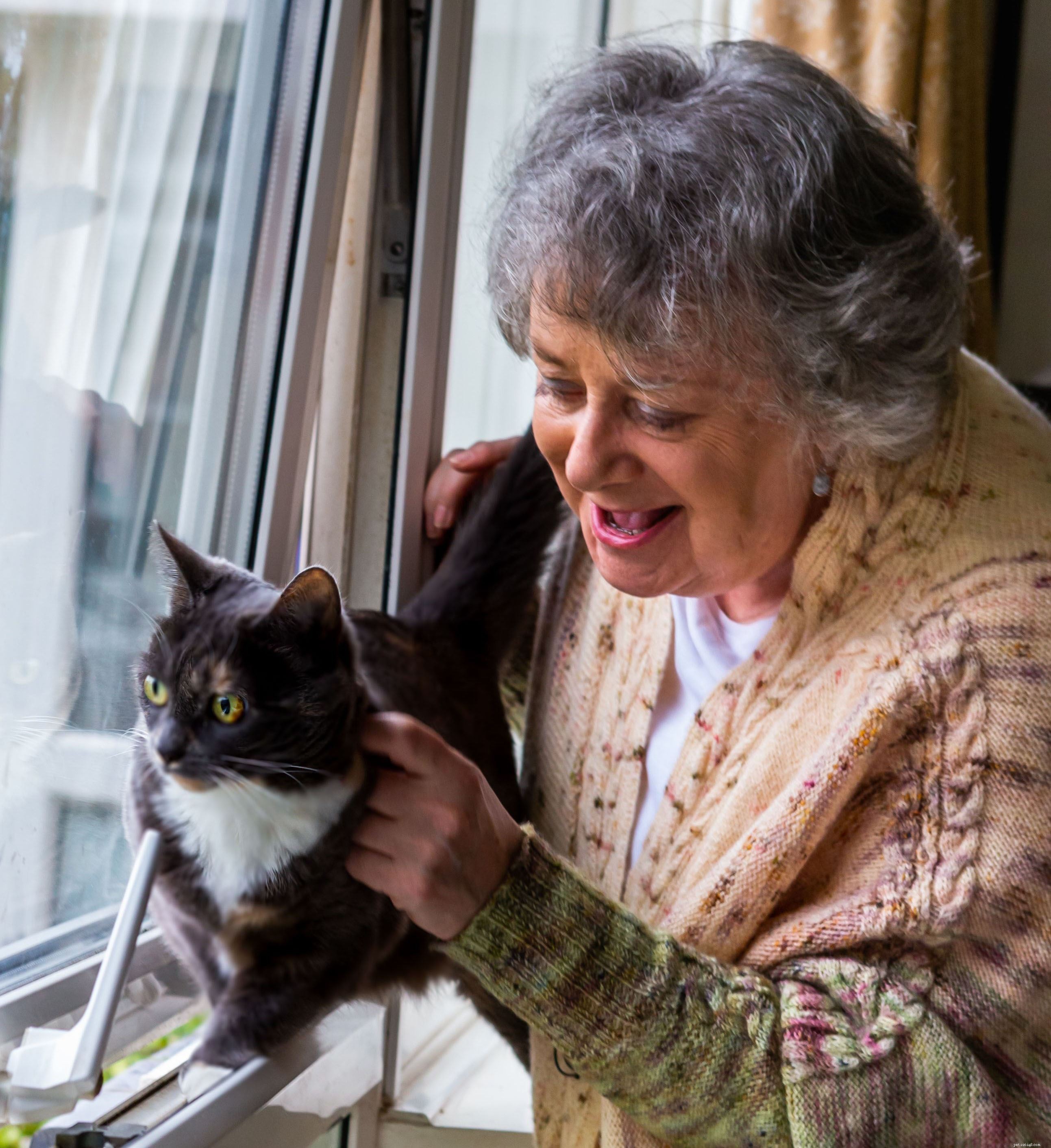 Celebrating One Year of Our Hands‑Free Cat Adoption Service: 20,000 Cats Rehomed During Lockdown