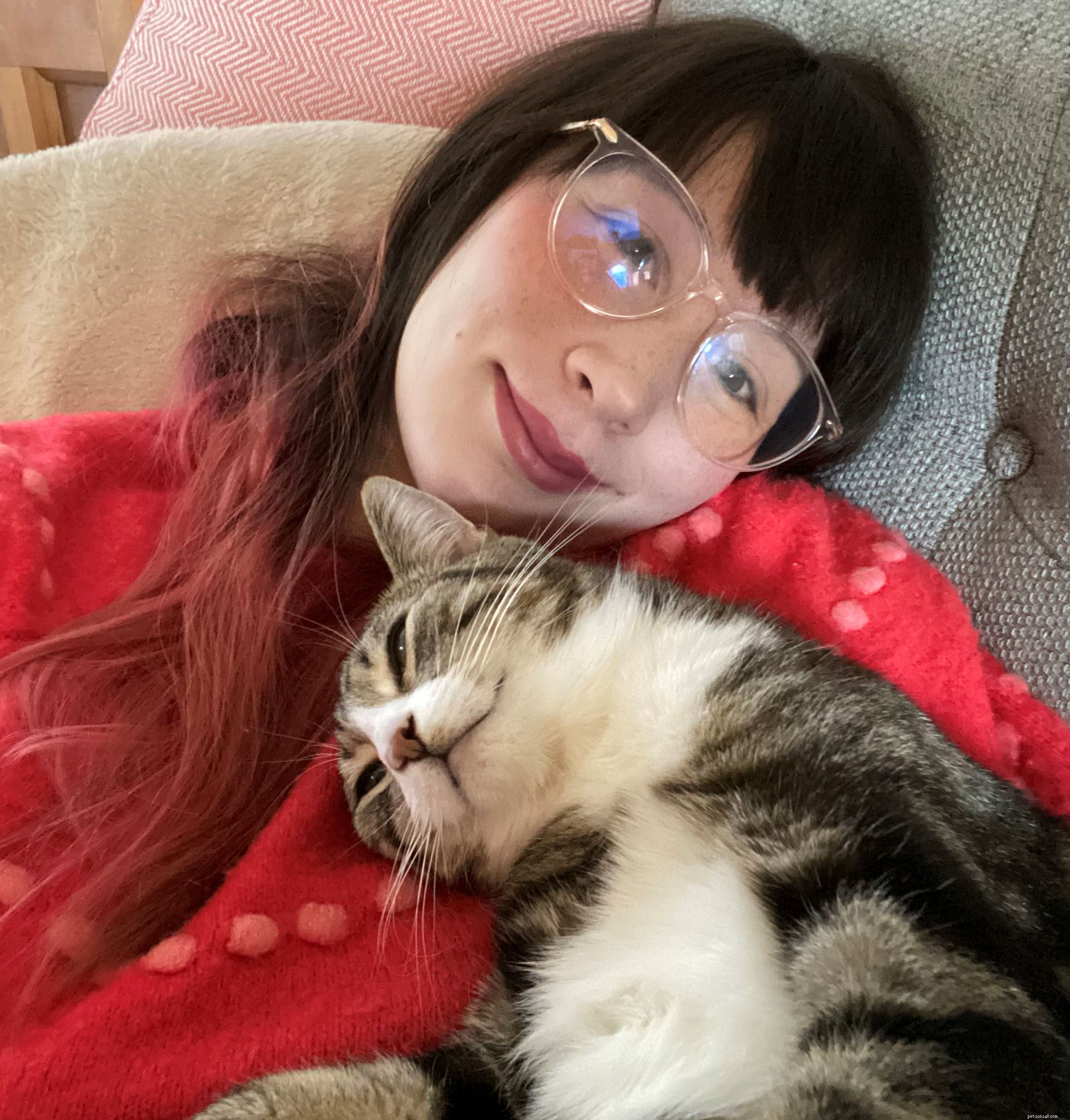 Mindy s Cat‑Themed Cakes Earn Praise from GBBBO Judge Kim‑Joy