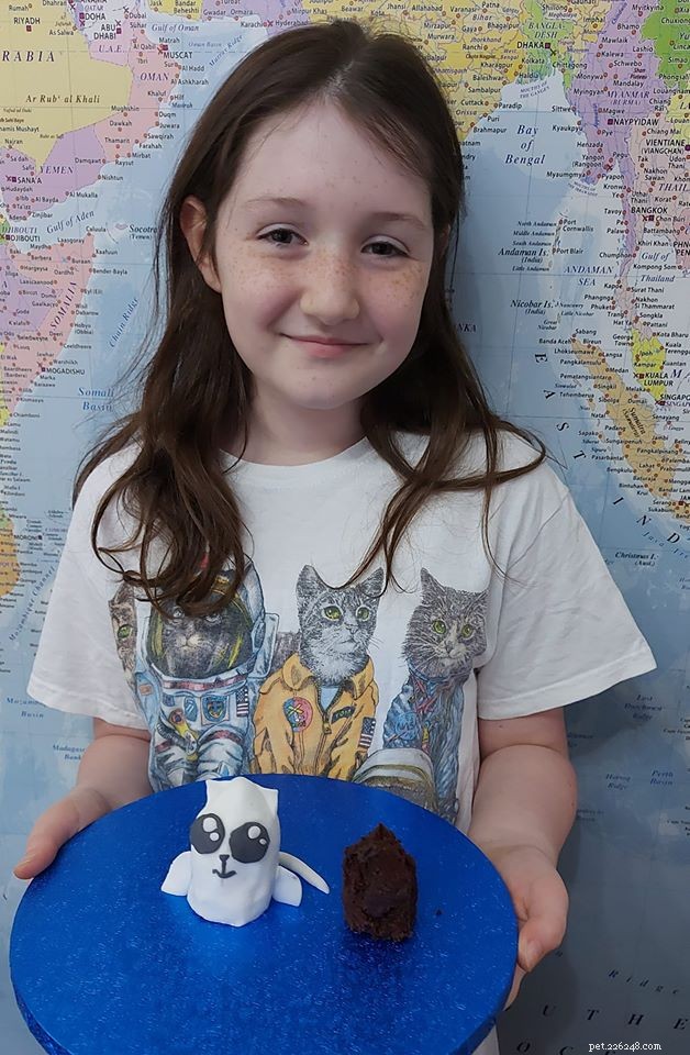 Mindy s Cat‑Themed Cakes Earn Praise from GBBBO Judge Kim‑Joy